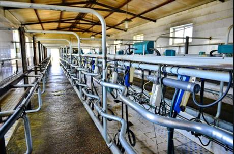 蘭考縣考城鎮(zhèn)現(xiàn)代牧場(chǎng)項(xiàng)目建設(shè)工程