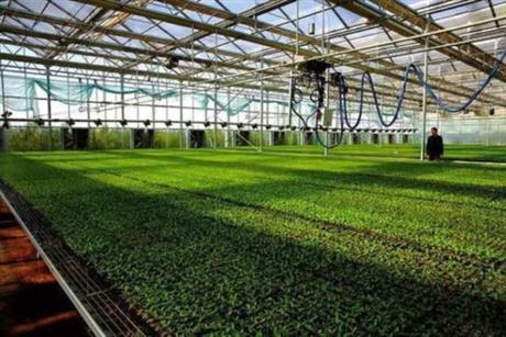 漯河市郾城區(qū)2020年3.5萬畝高標(biāo)準(zhǔn)農(nóng)田項(xiàng)目一期