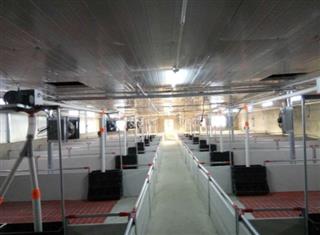 許昌市中科禽業(yè)有限公司2020年生豬規(guī)?；B(yǎng)殖場(chǎng)建設(shè)補(bǔ)助項(xiàng)目第三方驗(yàn)收