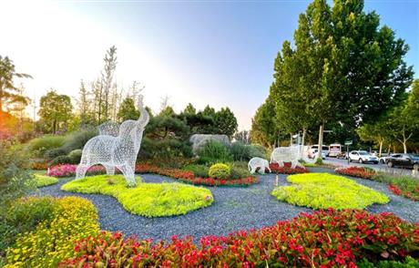 市政道路人行步道統(tǒng)籌提升整治樹(shù)穴周邊樹(shù)根拱起維修工程監(jiān)理