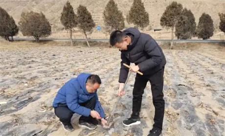 郟縣農(nóng)業(yè)農(nóng)村局第三次土壤普查邊界校核土壤制圖項(xiàng)目